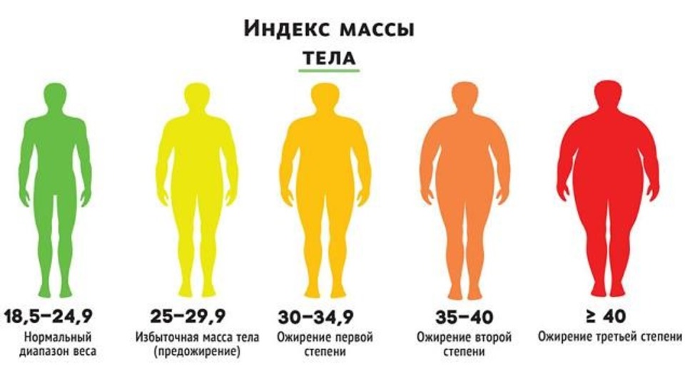 Ожирение Первой Степени У Женщин Фото