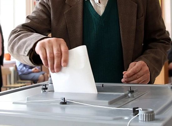 В регионе открылись 313 избирательных участков