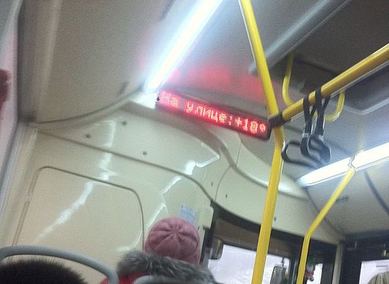 Термометр в волгоградском автобусе показал за бортом курортную температуру