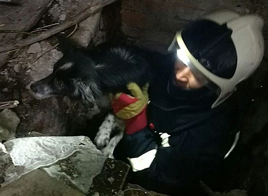 За минувшие сутки волгоградские спасатели выезжали на вызовы 13 раз
