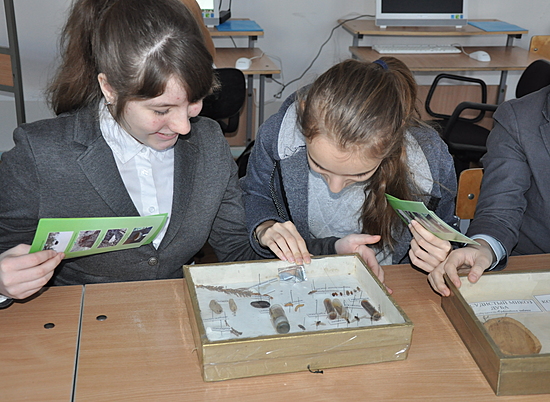 Волгоградским школьникам рассказали  о профессии лесопатолога