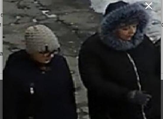 Полиция разыскивает двух женщин, похитивших у пенсионерки почти полмиллиона рублей