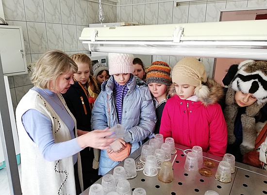 Волгоградские школьники побывали в лаборатории леса