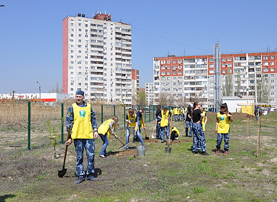 У ФОК «Молодежный» в Волгограде открыта «зеленая дорога саженцам»