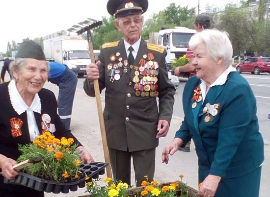 В Волгограде с участием ветеранов состоялся субботник на Аллее Победы