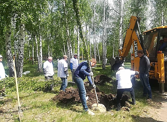 В Кировском районе Волгограда спасают уникальную березовую рощу