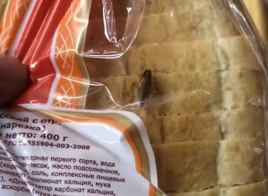 В волгоградском магазине продавали батон с живым тараканом
