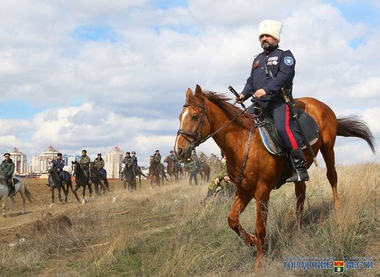 Казаков в Волгоградской области лишат необходимости торговаться за землю