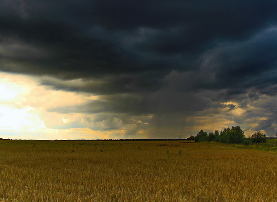 Эксперты о ливне: «Осадки в Волгоградской области нужны полям»