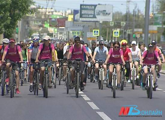 В Волгограде на Первой продольной магистрали появилась велодорожка