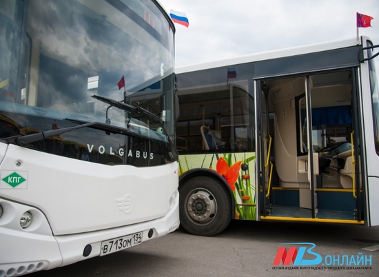 В Волгограде легковушка столкнулась с автобусом