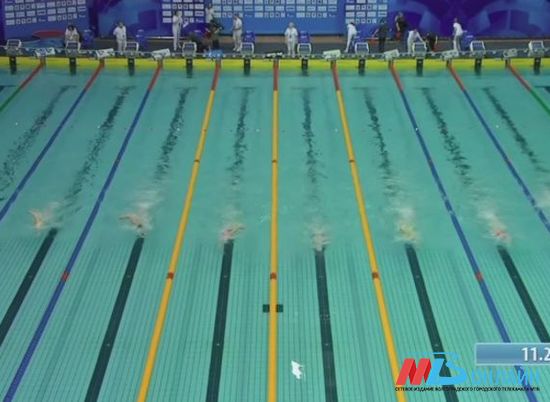 Волгоградские пловцы в составе национальной сборной добились блестящего успеха