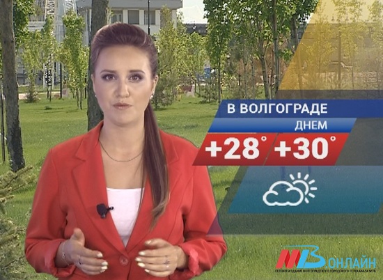 Погода в Волгограде благоприятствует активному отдыху