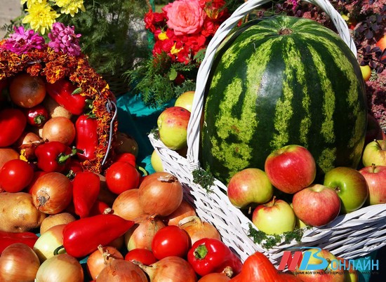 30 августа в Советском районе Волгограда проведут День арбуза