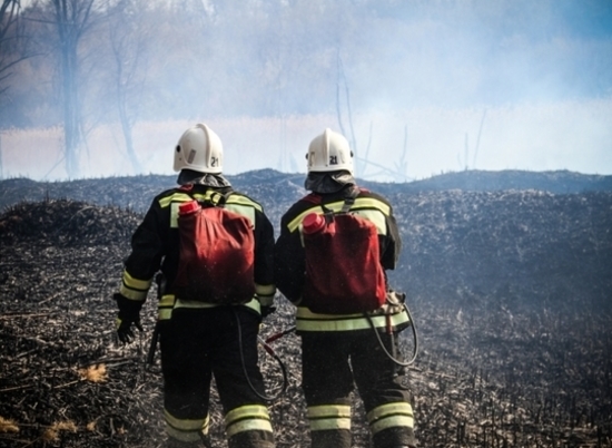 Чрезвычайная пожароопасность покинула Волгоградскую область