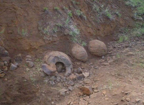 Житель Волгоградской области откопал загадочные шары