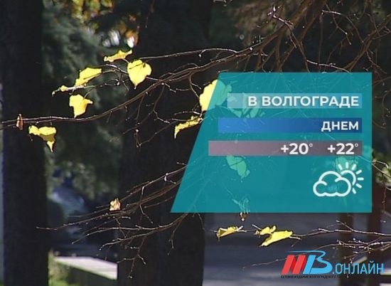 Первые дни октября в Волгограде будут теплыми