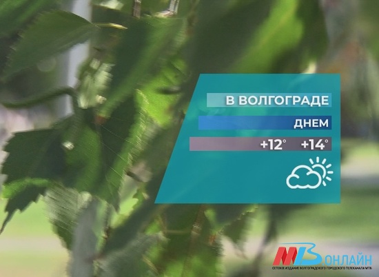 В Волгоградскую область возвращается чудная погода