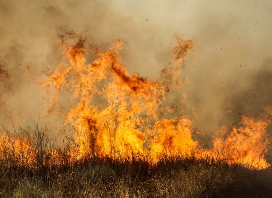 На пожаре в Волгоградской области едва не сгорел 68-летний мужчина
