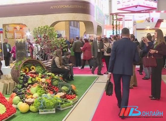 Волгоградская область получила 8 благодарностей Министерства сельского хозяйства