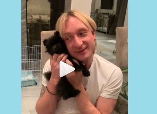 Евгений Плющенко купил сыну щенка, но играет с ним сам