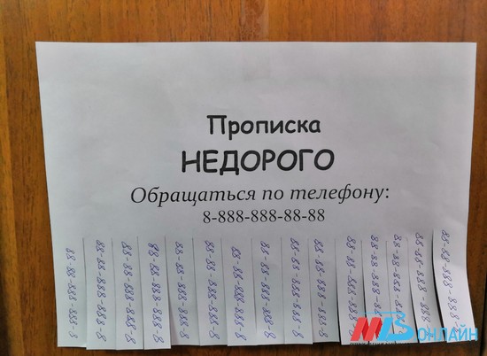 В Волгоградской области выявили еще трех гастарбайтеров с фиктивной пропиской