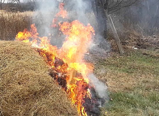 Пожар уничтожил зимние запасы корма для животных
