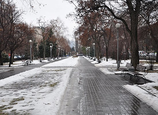 В начале недели в Волгограде будет относительно  тепло и пасмурно
