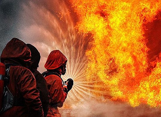 В Волгоградской области сгорело 2 тонны семечек