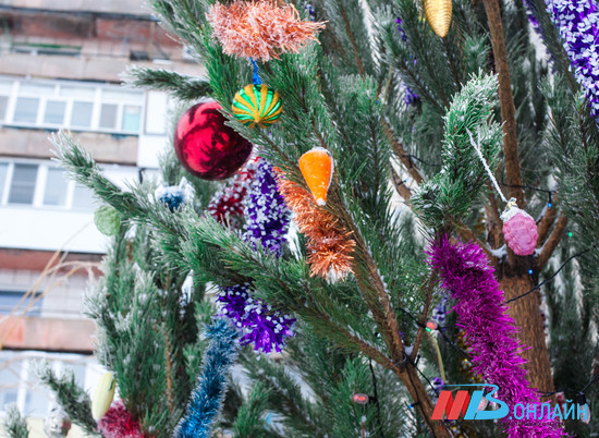 Волгоградские семьи на соцсопровождении поздравят с Новым годом