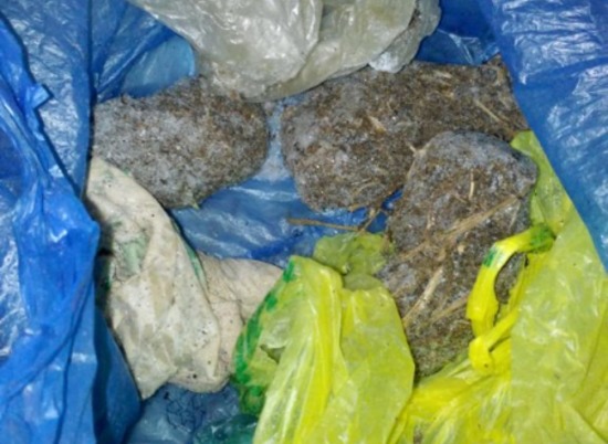 У 22-летнего жителя Палласовки полицейские нашли 120 граммов конопли