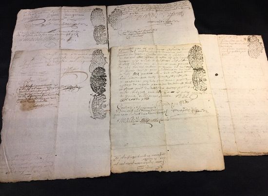 Волгоградцам откроют доступ к документам XVIII века
