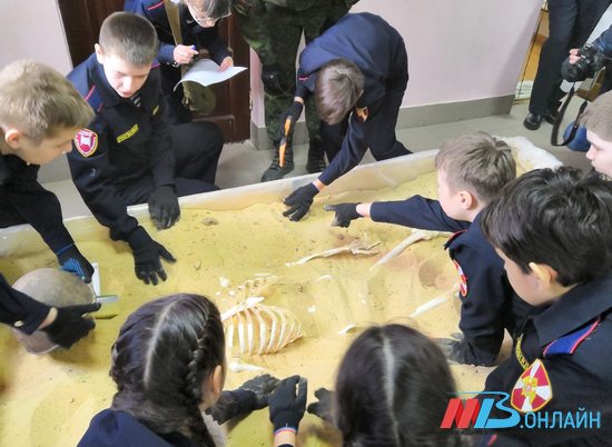 Волгоградские школьники приняли участие в раскопках и поисковых операциях