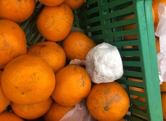Волгоградцы возмущены продажей белого мандарина в гипермаркете