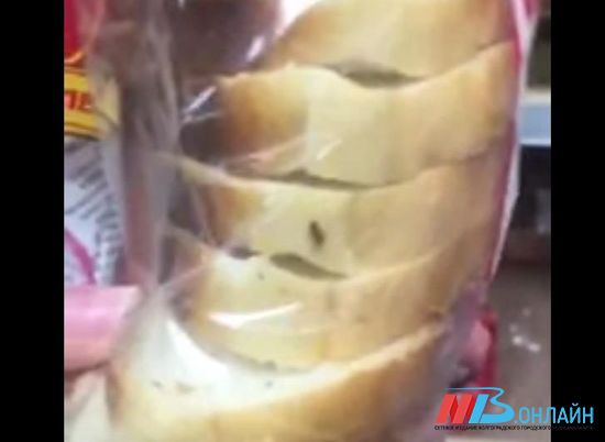 Волгоградский хлебозавод заверил: мухи в комплекте с батоном не идут