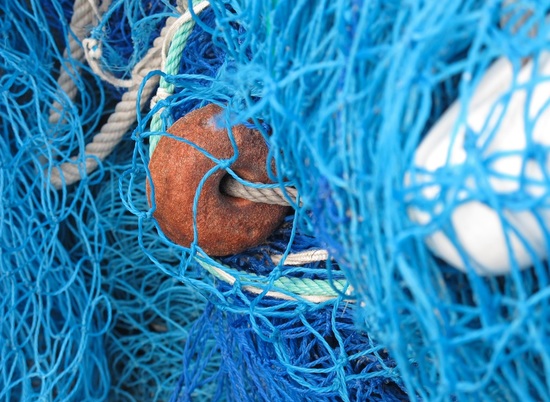 Прокуратура в Волгограде пресекла продажу запрещенных рыболовных сетей