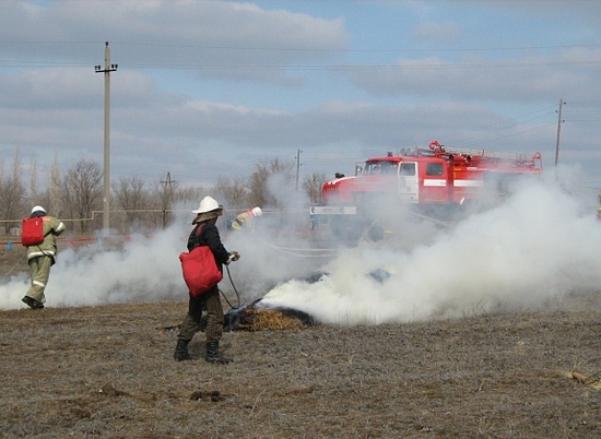 В Волгоградской области прошли межрегиональные учения по тушению лесных пожаров