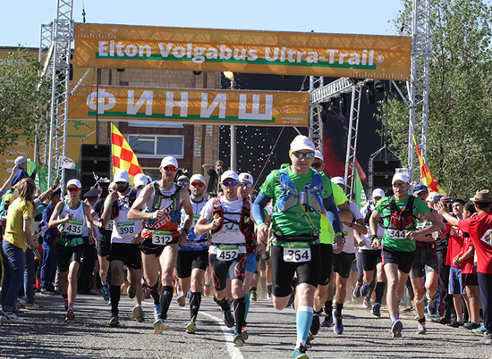 В Волгограде 800 спортсменов из 60 субъектов примут участие в марафоне