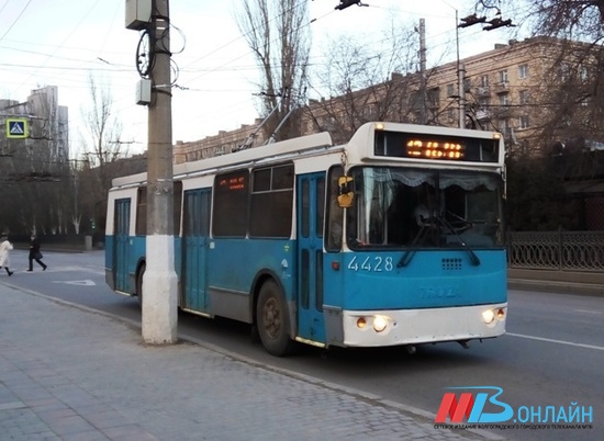 Волгоградские трамваи и троллейбусы приобретут единый внешний вид