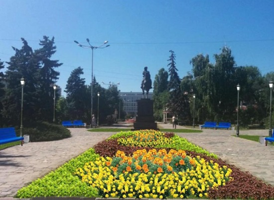 Для озеленения Центрального района Волгограда ищут поставщика цветов