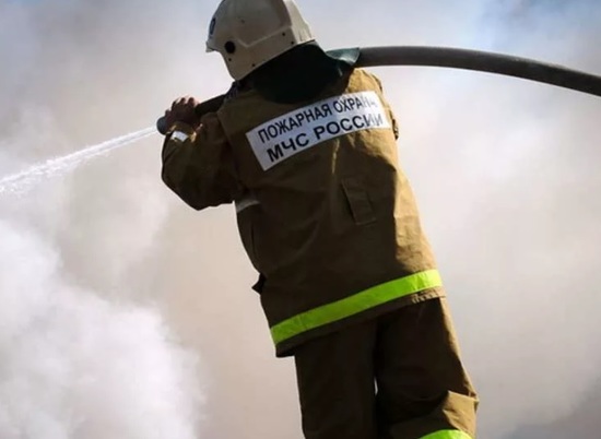 В Волгоградской области за сутки потушили 8 "мусорных" пожаров