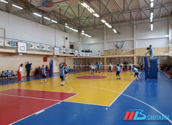 В Волгограде стартовал открытый кубок по волейболу