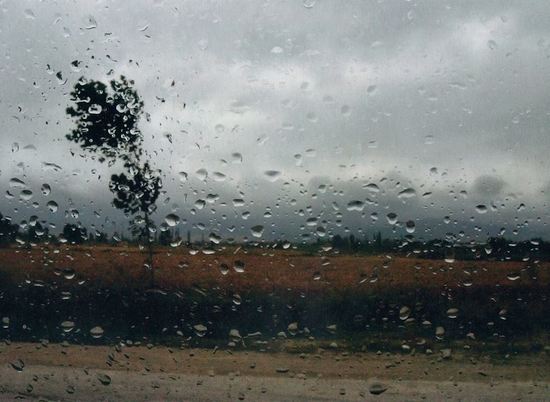 В Волгоградской области дожди продолжатся до конца выходных