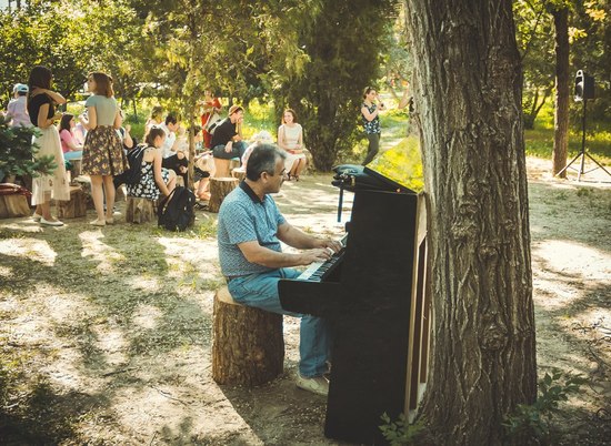 В Комсомольском саду для волгоградцев сыграют на рояле в кустах