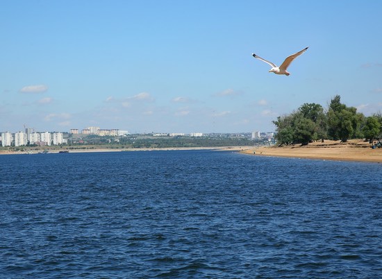 В Волгоградской области летом 2019 года будут работать 35 пляжей