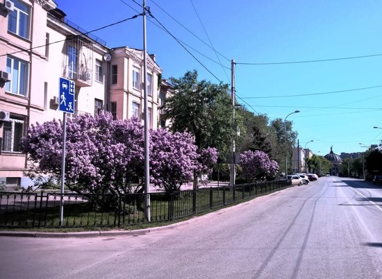 25 мая в Волгограде пройдет открытый пленэр "Пейзажный мотив"