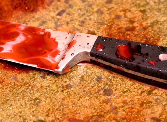 Волгоградец 30 раз ударил ножом родную мать