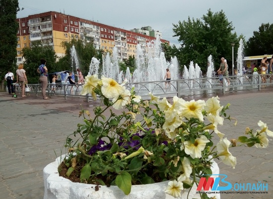 Короткие дожди не остудят 35-градусную жару в Волгоградской области