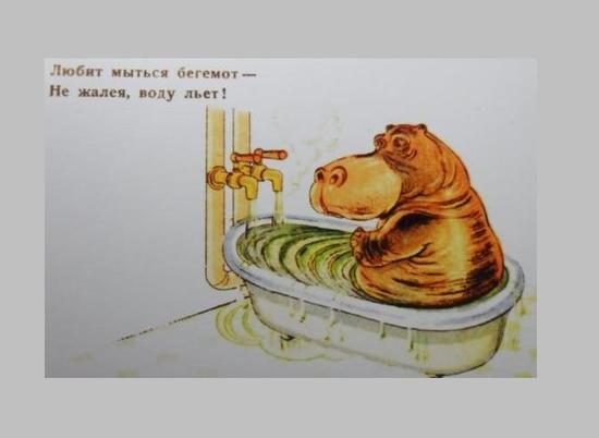 Бегемот на балконе и скат в ванной: правительство запретило россиянам держать дома диких животных