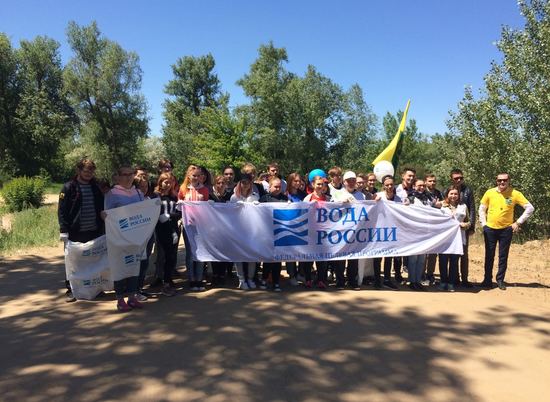 В Волгоградской области 6 тысяч добровольцев провели 200 субботников